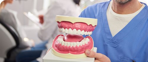 smiling-dentist-showing-artificial-dentures